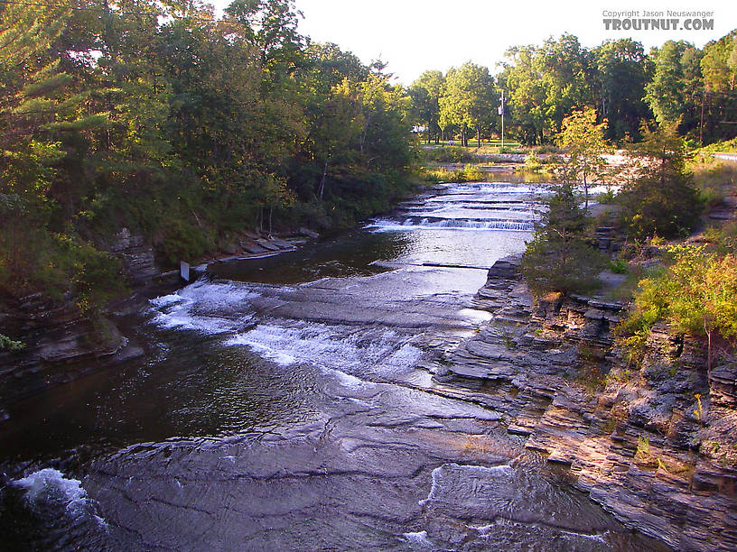  From Toughannock Creek in New York.