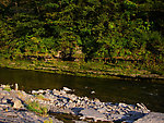 It just feels wrong that no trout rose up from this ledge pool to smack a Royal Wulff.  There doesn't seem to be much of a trout population here. From Toughannock Creek in New York.