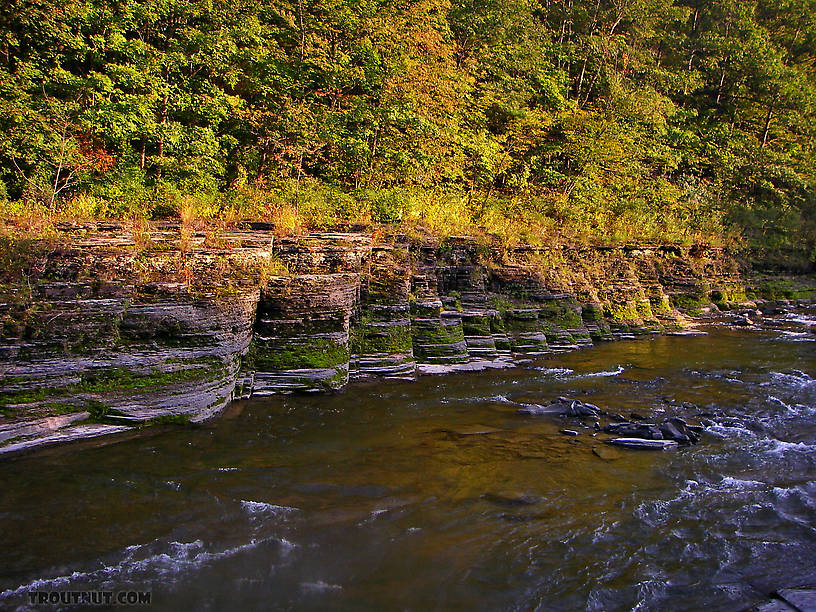  From Toughannock Creek in New York.