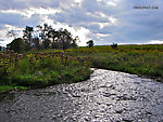  From Fall Creek in New York.