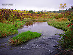  From Fall Creek in New York.