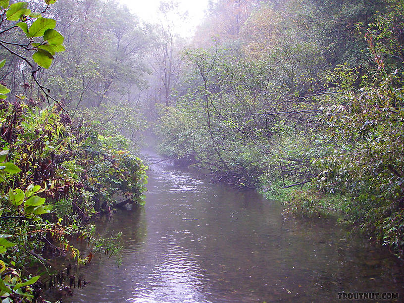  From Dresserville Creek in New York.