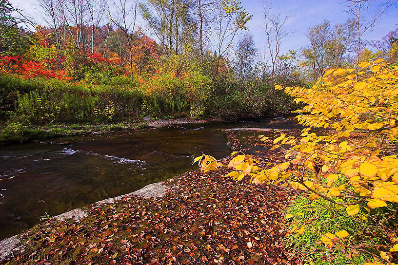  From Sixmile Creek in New York.