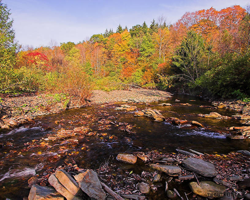  From Sixmile Creek in New York.