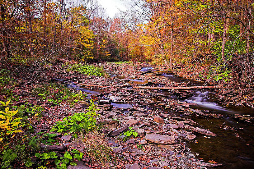  From Sixmile Creek in New York.