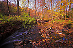  From Sixmile Creek in New York.