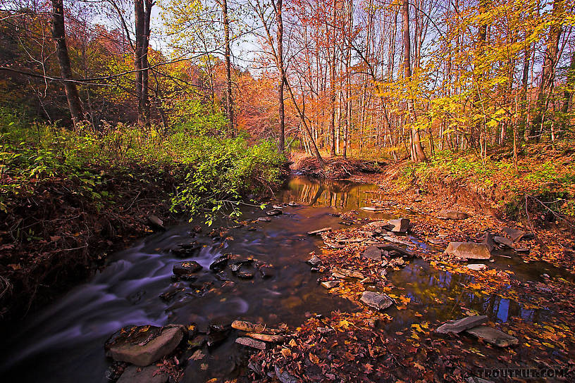  From Sixmile Creek in New York.