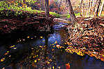  From Sixmile Creek in New York.