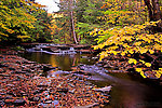  From Sixmile Creek in New York.