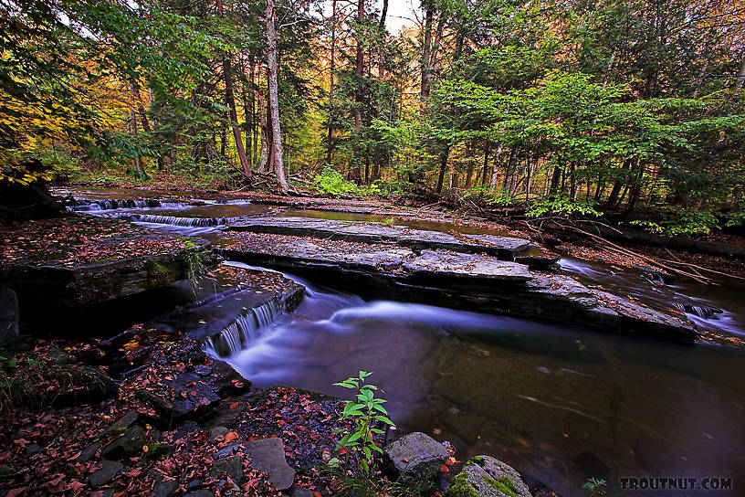  From Sixmile Creek in New York.