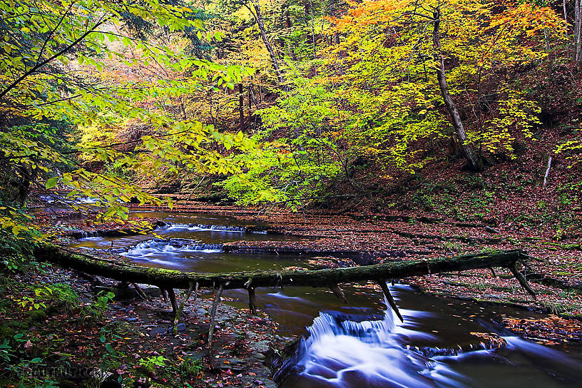  From Sixmile Creek in New York.