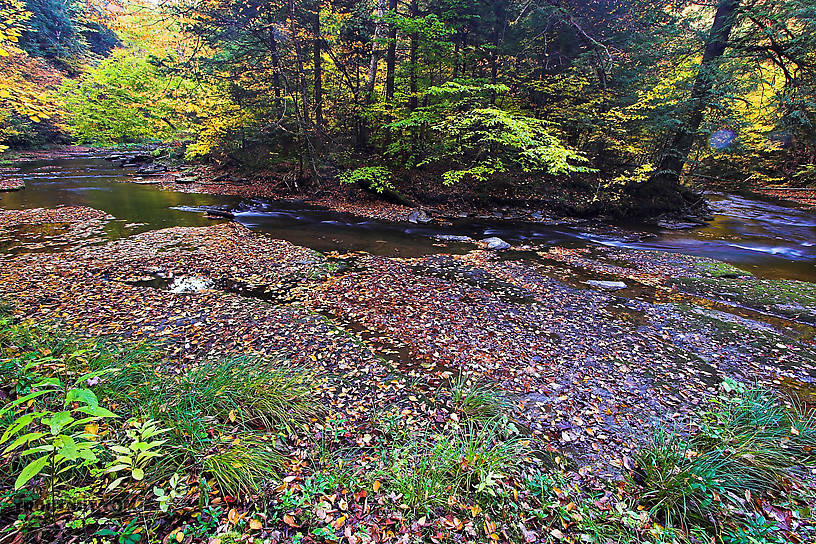  From Sixmile Creek in New York.