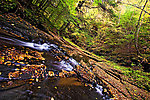  From Sixmile Creek in New York.