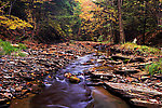  From Sixmile Creek in New York.