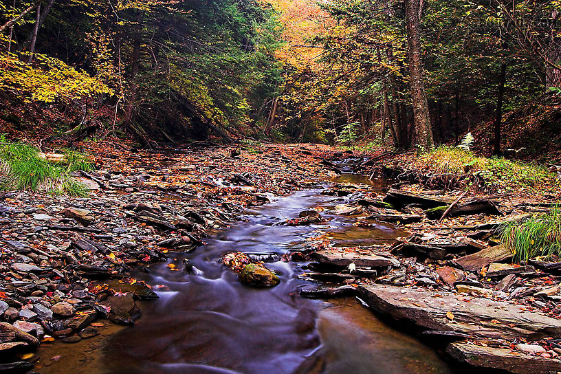  From Sixmile Creek in New York.