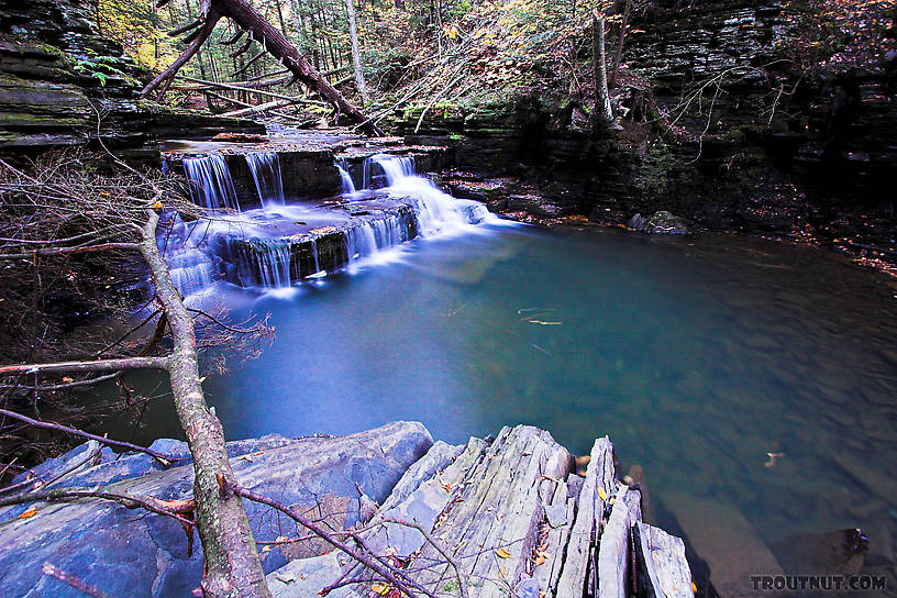  From Sixmile Creek in New York.