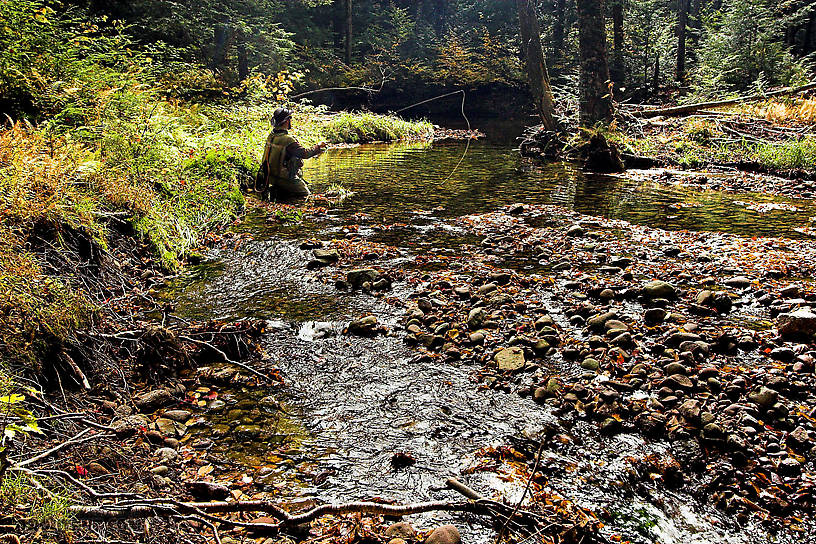 I try to find a brookie in a beautiful, clear pool, but with no luck. From the Mystery Creek # 23 in New York.