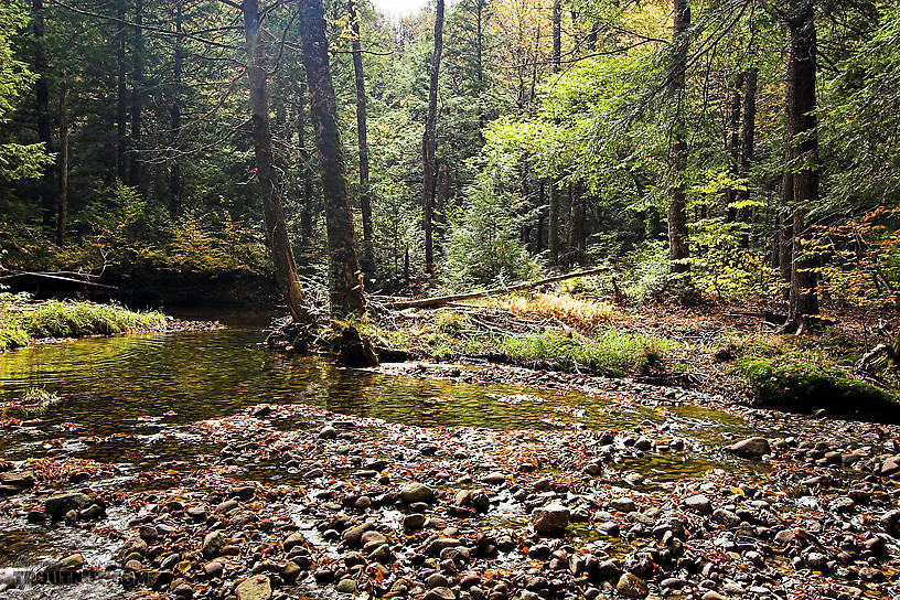  From the Mystery Creek # 23 in New York.