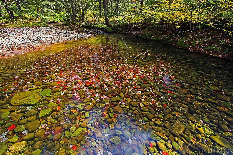  From the Mystery Creek # 23 in New York.