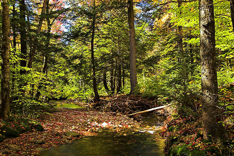  From the Mystery Creek # 23 in New York.