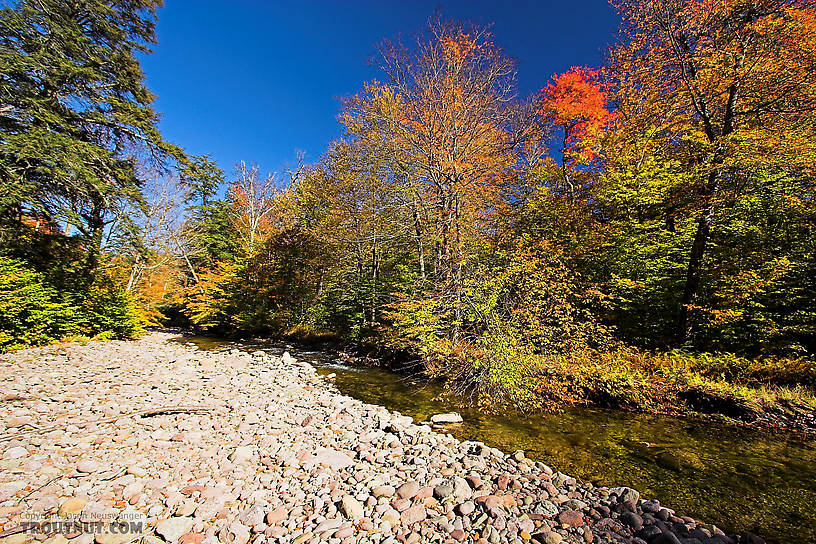  From the Mystery Creek # 23 in New York.