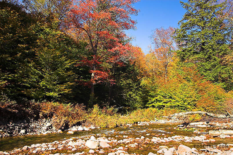  From the Mystery Creek # 23 in New York.