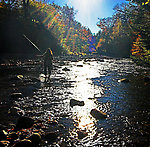 Lena wading across the riffle to catch up with me. From the Mystery Creek # 23 in New York.