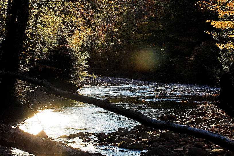  From the Mystery Creek # 23 in New York.