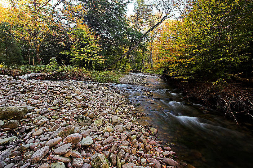  From the Mystery Creek # 23 in New York.