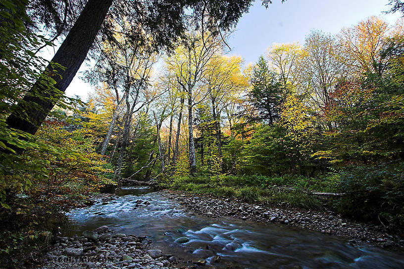  From the Mystery Creek # 23 in New York.