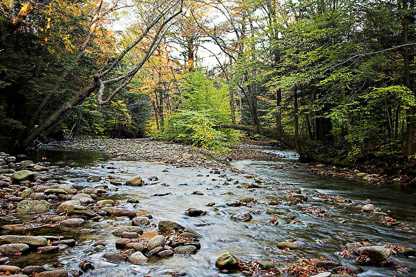  From the Mystery Creek # 23 in New York.