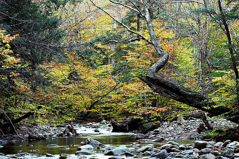  From the Mystery Creek # 23 in New York.