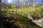 Many trout live in this pool, but they're very difficult to approach.  The stream is very small and the pool unusually large, so the current is very slow.  The trout have all the time in the world to inspect the fly, and they spook extremely easily. From Mystery Creek # 62 in New York.