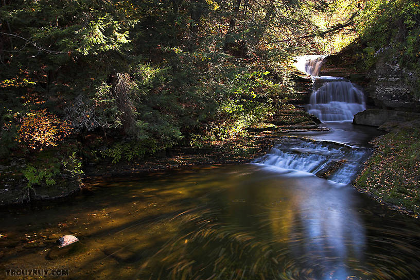 This little pool in update New York is enjoyed by many tourists every day, and it still holds a few trout -- stockers mostly, but you can't complain about the setting! From Mystery Creek # 62 in New York.