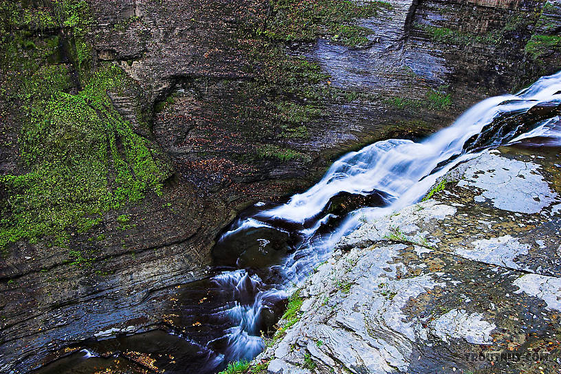  From Enfield Creek in New York.