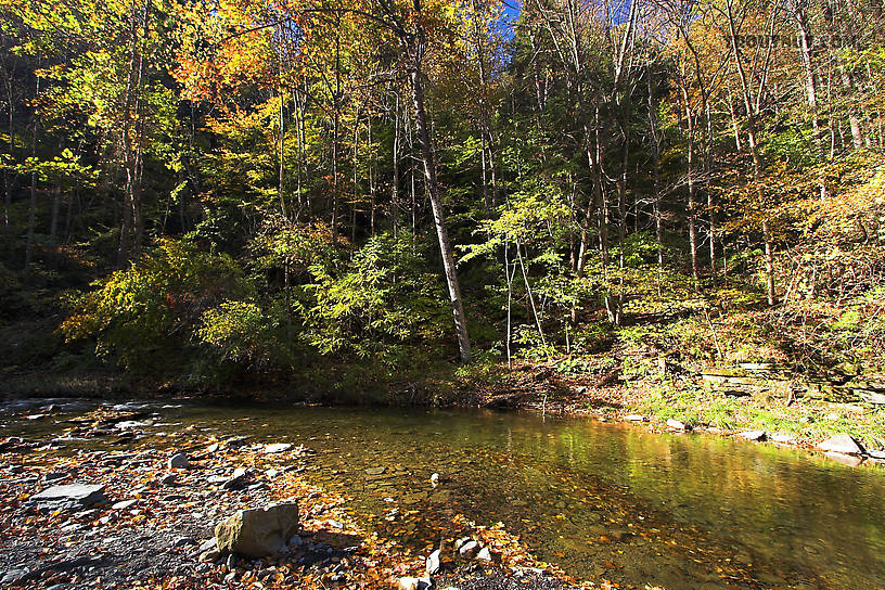  From Enfield Creek in New York.