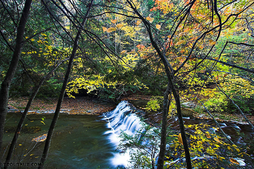  From Enfield Creek in New York.