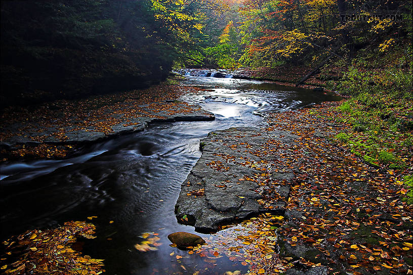  From Enfield Creek in New York.