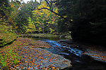  From Enfield Creek in New York.