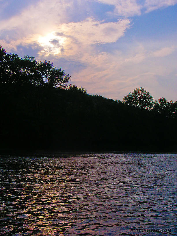  From the West Branch of the Delaware River in New York.