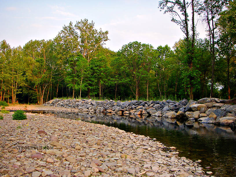  From Brodhead Creek in Pennsylvania.