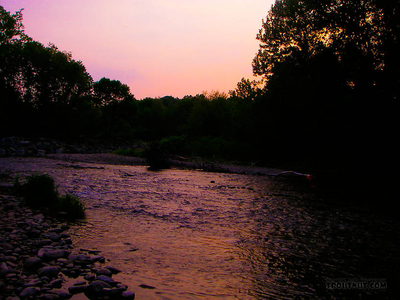  From Brodhead Creek in Pennsylvania.