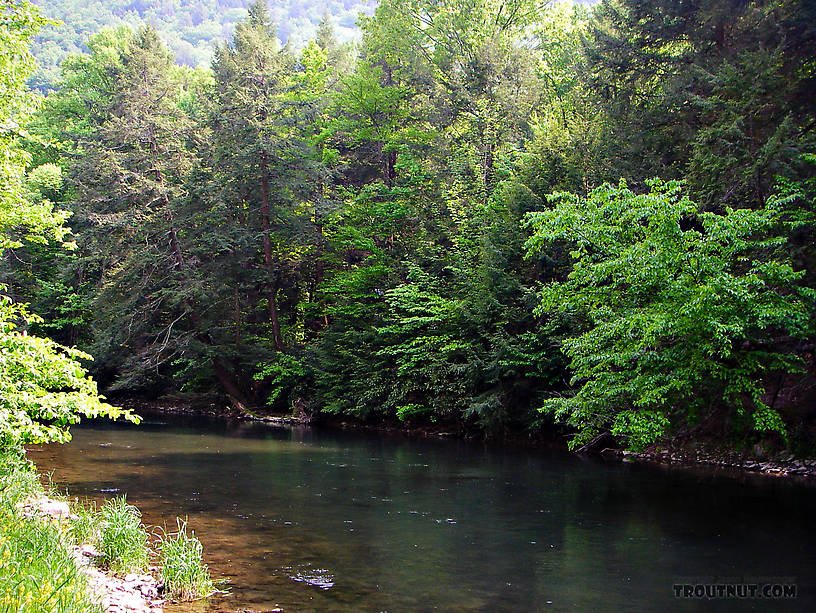  From Penn's Creek in Pennsylvania.