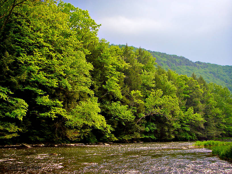  From Penn's Creek in Pennsylvania.