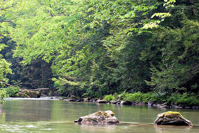  From Fishing Creek in Pennsylvania.