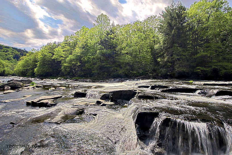  From the Neversink River Gorge in New York.