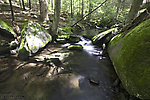  From Wolf Brook (Neversink Gorge) in New York.