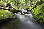  From Wolf Brook (Neversink Gorge) in New York.