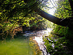  From Enfield Creek in Treman Park in New York.