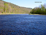  From the West Branch of the Delaware River in New York.